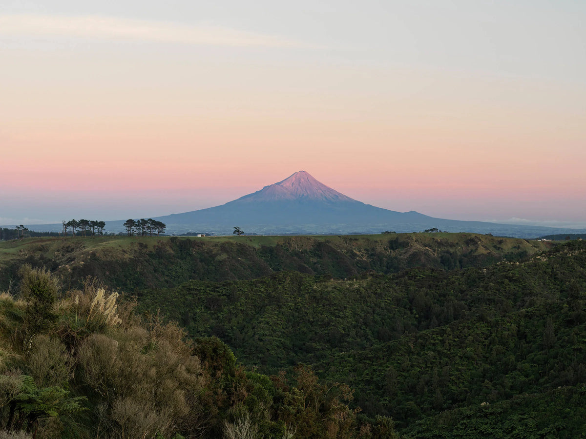 Colmenares de Egmont Honey cerca de monte Taranaki