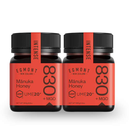 Miel de Manuka MGO 830+ (UMF 20+) 500g - Lot de 2