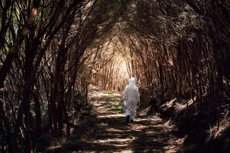 Brian McCall, Master Beekeeper at Manuka Health